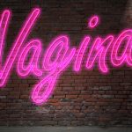 Vagina-diaries